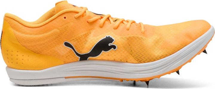 Produktbild Puma evoSPEED Long Distance (40)