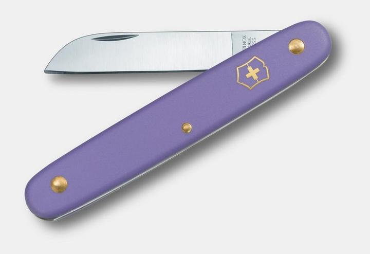 Actual product image Victorinox Blumenmesser (10 cm)