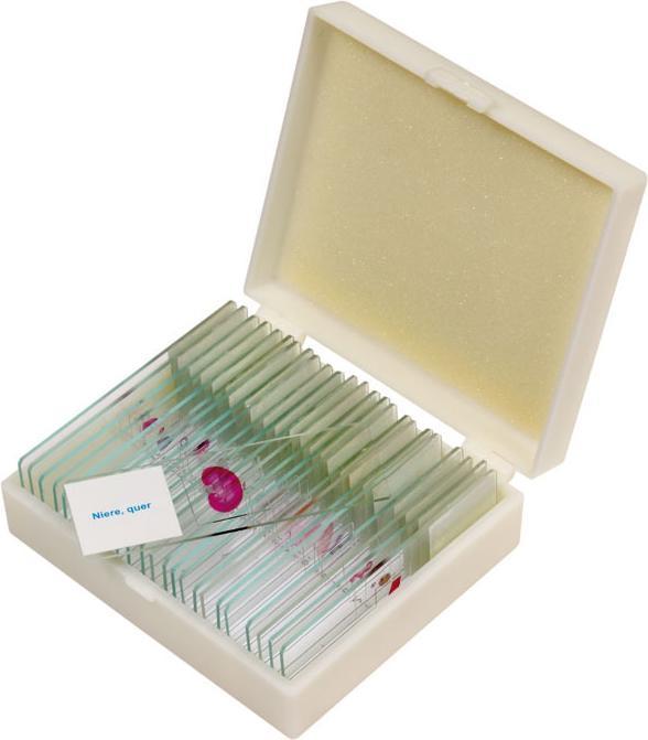 Betzold Präparate-Set 3