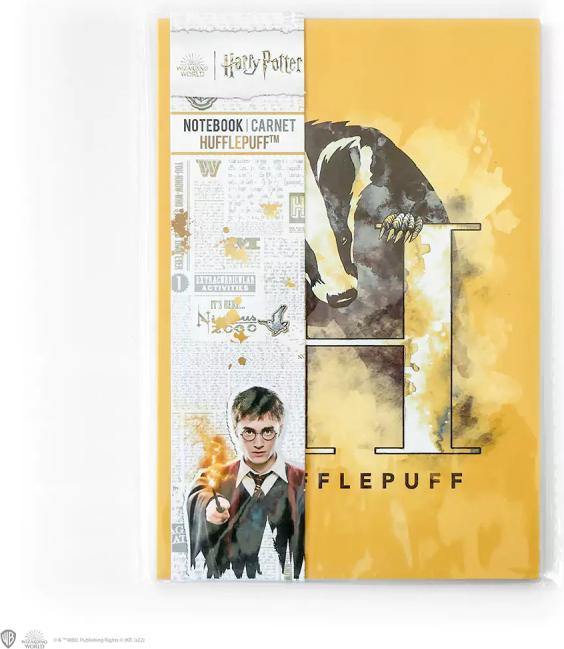 Image du produit Cinereplicas Harry Potter - Poufsouffle