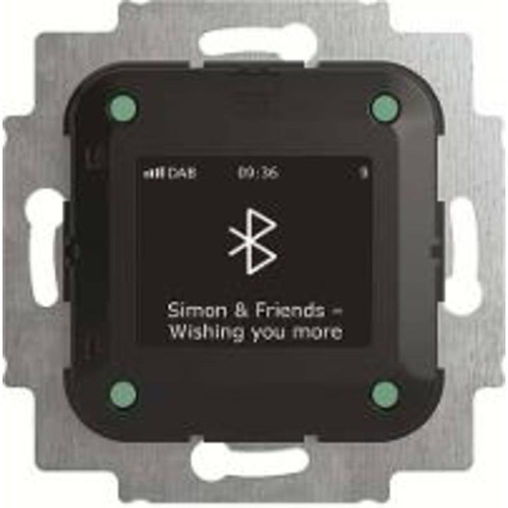 Busch-Jaeger 8217 U-101 (DAB+, Bluetooth)
