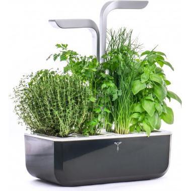 Thumbnail - Véritable, Blumentopf, VERITABLE SMART Indoor Garten schwarz inkl 4 Packs (18.50 cm)