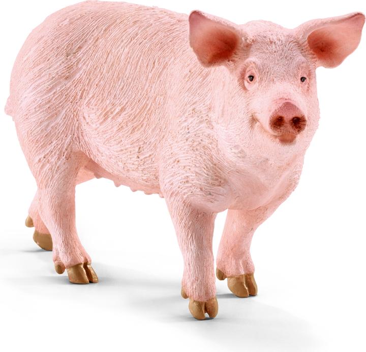 Image du produit Schleich Cochon 13782