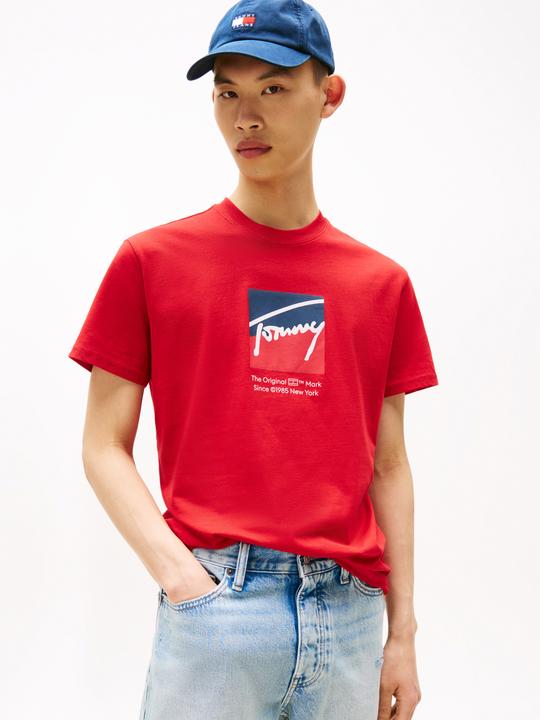 Productafbeelding Tommy Jeans Tjm Reg Rwb Dna Tee (M)