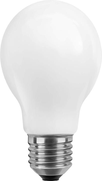 Actual product image Segula 55247 LED bulb E27 F (E27, 550 lm, 1x)