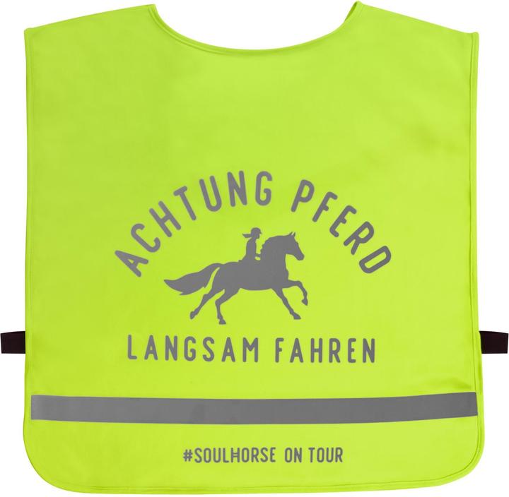 Image du produit Soulhorse Avant-train lumineux