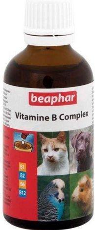 Dog food