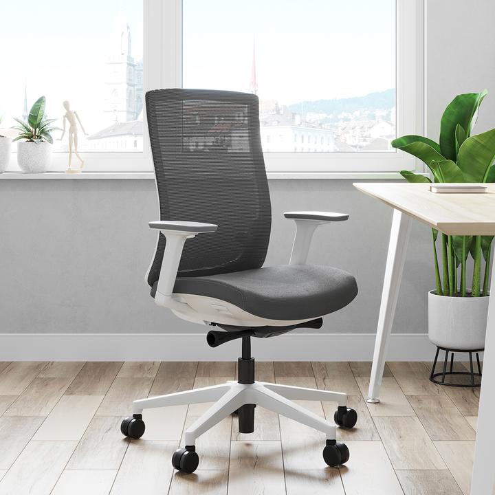 Actual product image ofinto Ergo