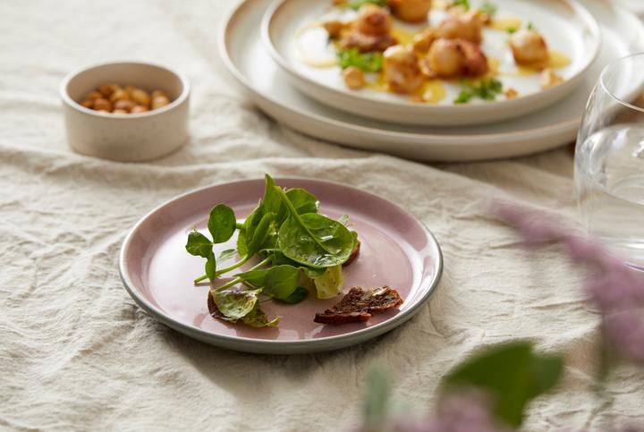 Image du produit Bitz Assiettes petit déjeuner et dessert 6 pièces, gris/rose clair (6x, 17 cm)