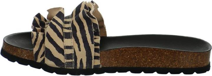 Image du produit Verbenas Rocio (41)