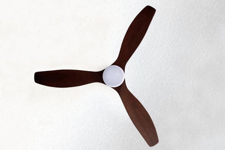 Actual product image Pepeo Notos