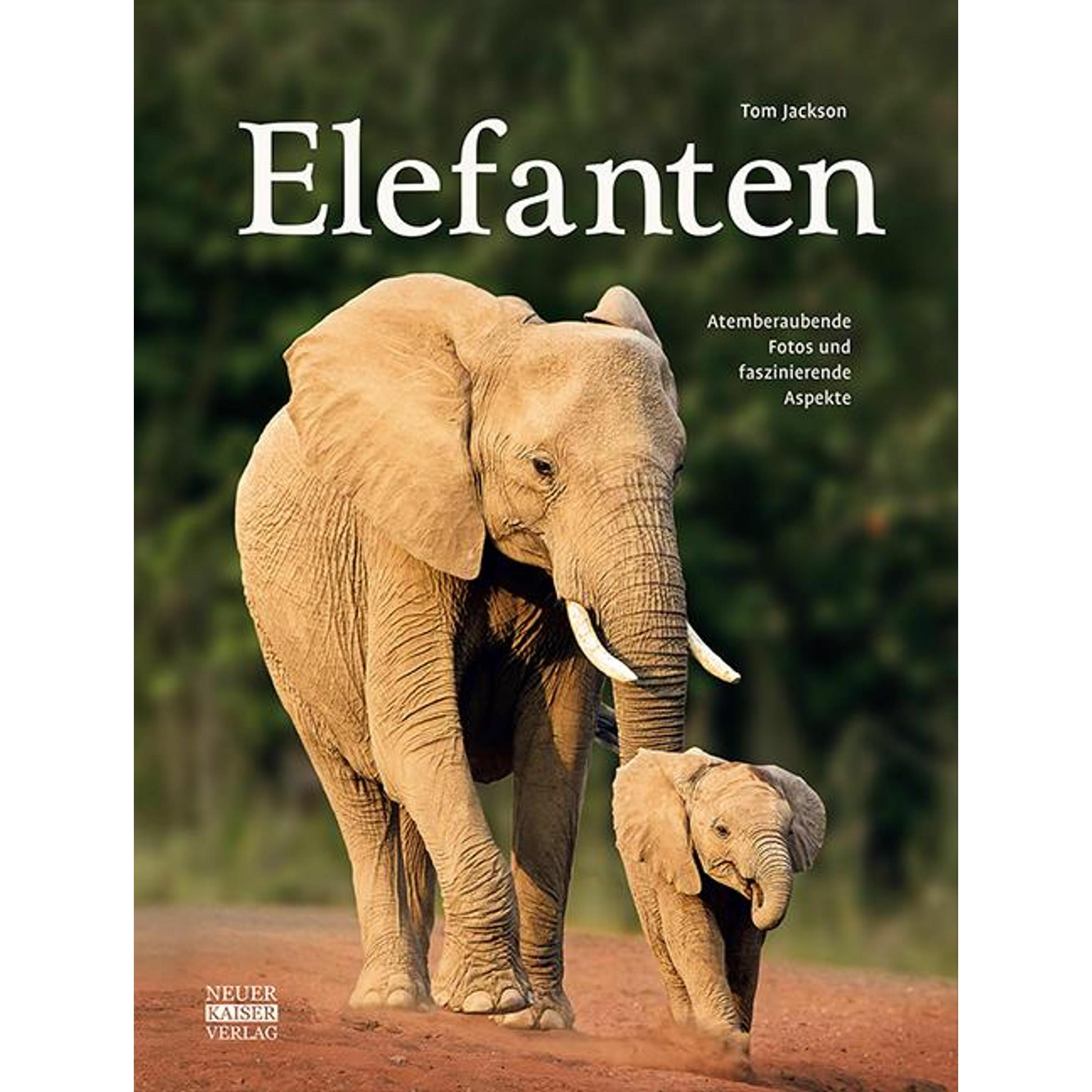 Elefanten, Fachbücher von Tom Jackson