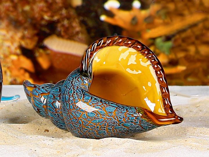 Actual product image Casablanca by Gilde Giant clam