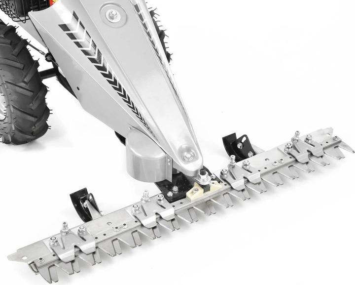 Image du produit Hecht 587 (Essence)