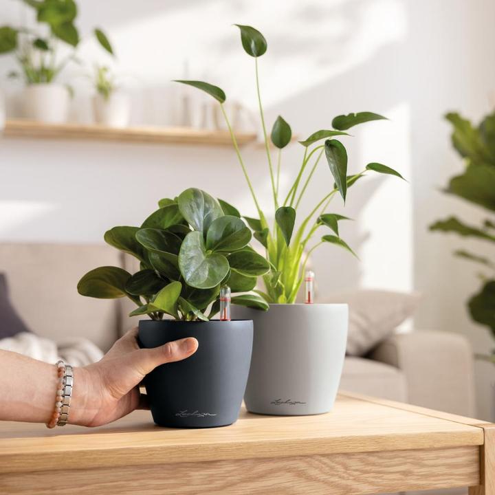 Produktbild Lechuza Classico 18 (18 x 17 cm)