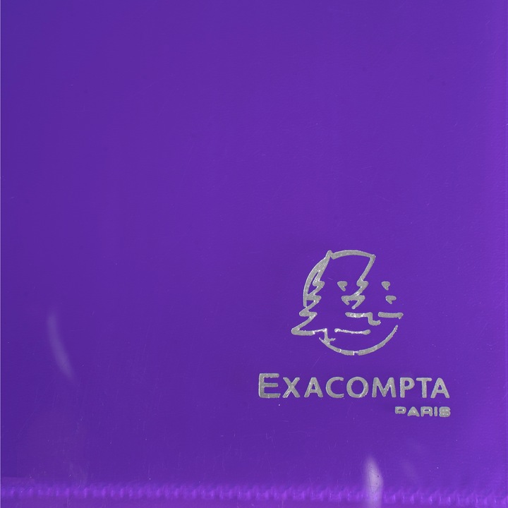 Actual product image Exacompta Sichtmappe (A4, 1 x)