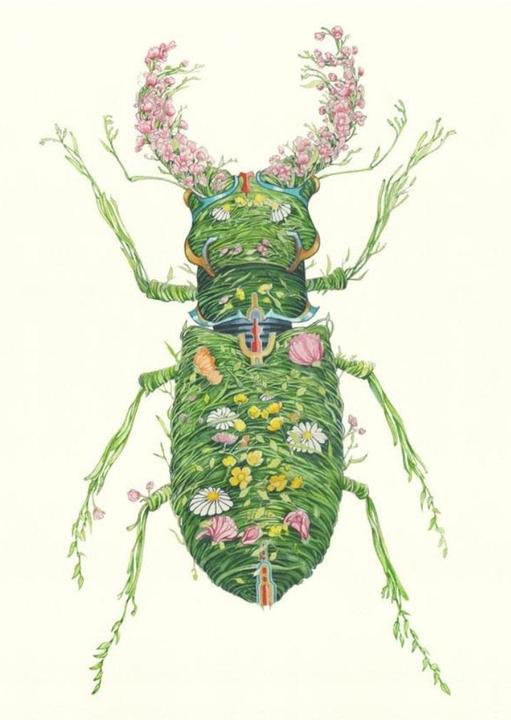 Actual product image DM Collection A110 B6 card + beetle envelope (1 pcs.)