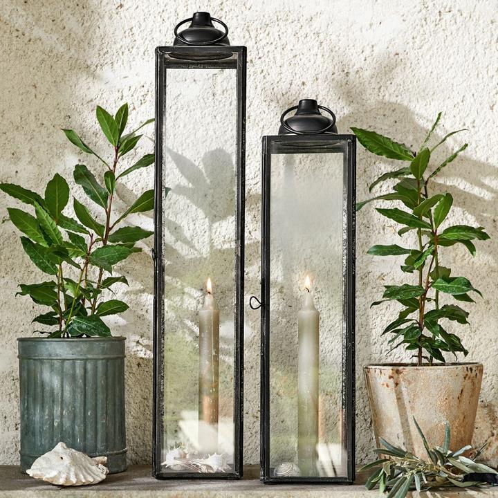 Immagine prodotto Loberon Set di 12 candele Bauceau taupe (12 pz.)