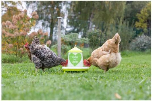 Productafbeelding Kerbl Voederhuisje met voetjes, voor pluimvee (kuikens/kippen/eendjes), voedselveilig, met motief