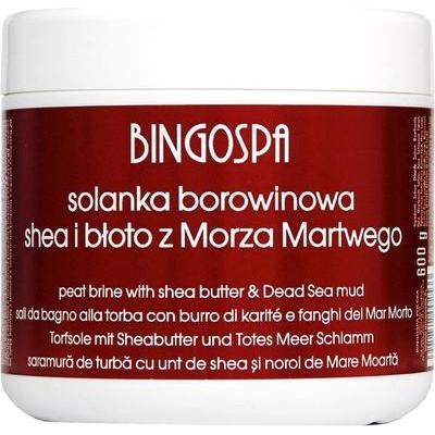 BingoSpa, Duschmittel, Bingo Spa Totes Meer Schlamm und Shea Butter Sole 600g