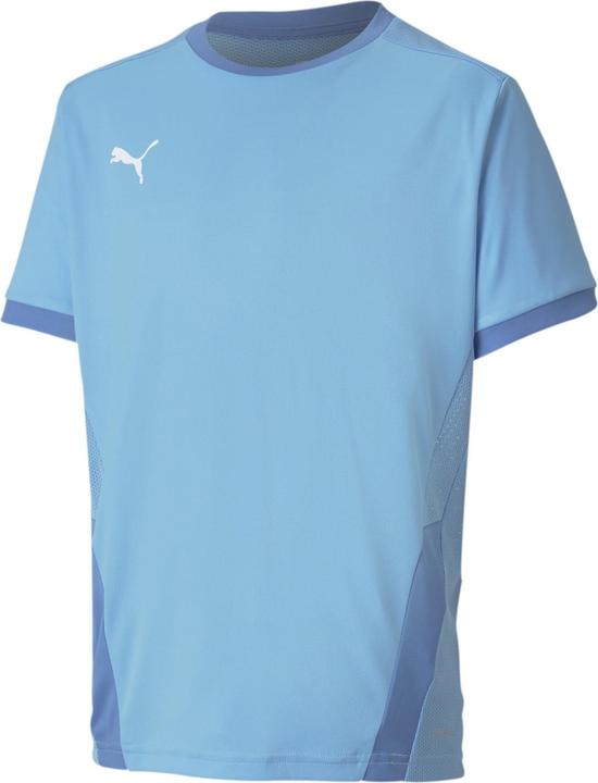 Actual product image Puma teamGOAL 23 Jersey jr-704160 (176)