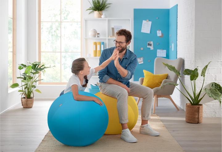 Actual product image Leitz Ergo Cosy Active sitting ball (65 cm)