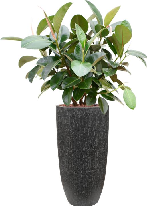 Produktbild Baq Design Raindrop Partner (32 x 62 cm)