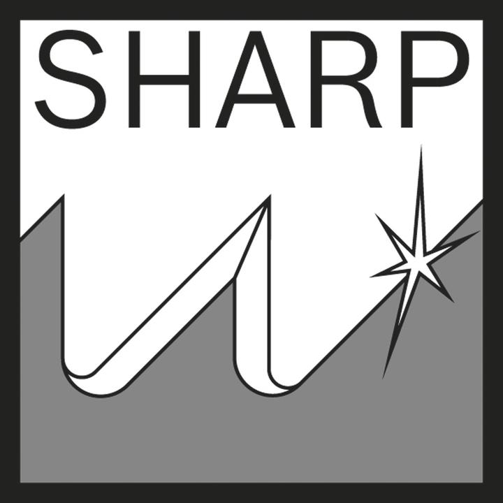 Actual product image Bosch Zubehör Sabre saw blade M 1142 H for PFZ 500