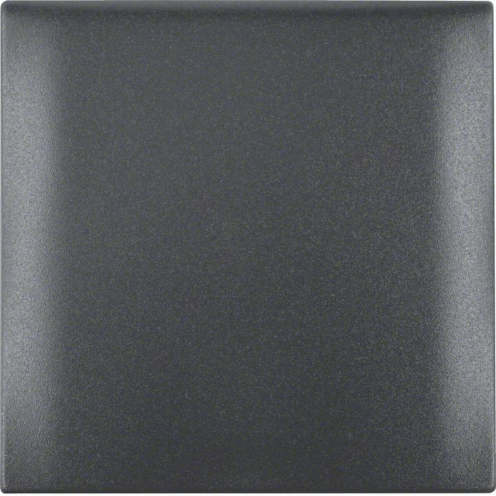 Actual product image Berker Frame