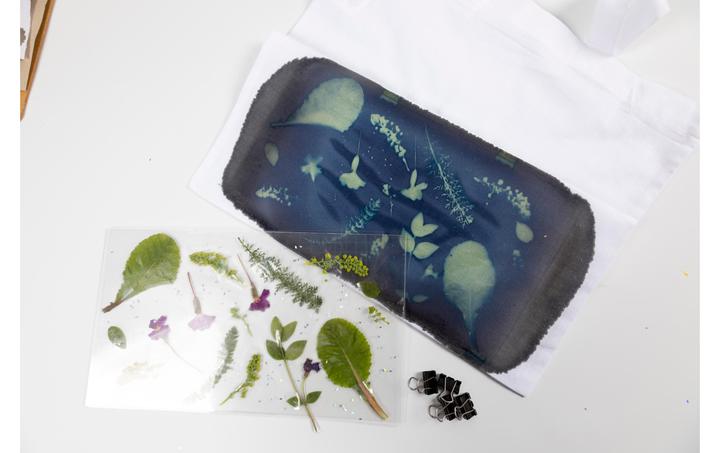 Actual product image Creative Creative set cyanotype, textiles