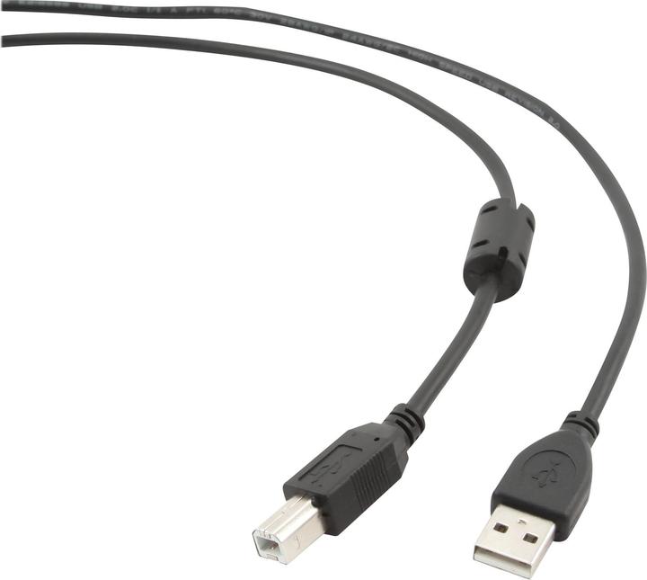 Immagine prodotto Gembird CCF-USB2-AMBM-10 (3 m, USB 2.0)
