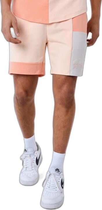Actual product image Project X Paris short (XL)