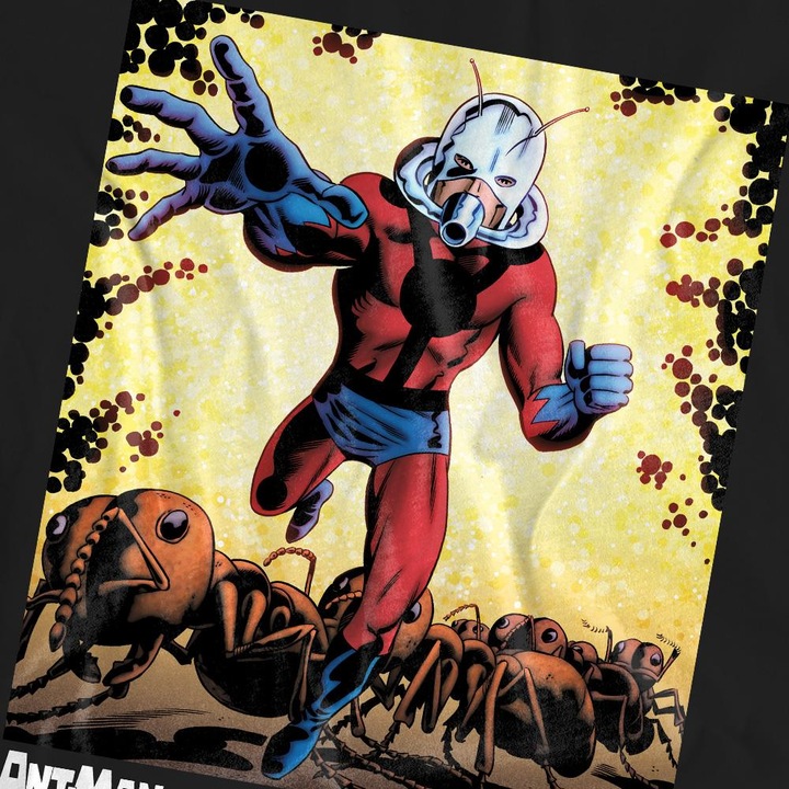 Actual product image Ant-Man and the Wasp: Quantumania Unisex Adult Crackle T-Shirt (S)