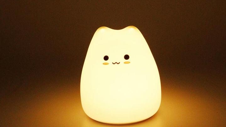 Actual product image TOP LED luminaire