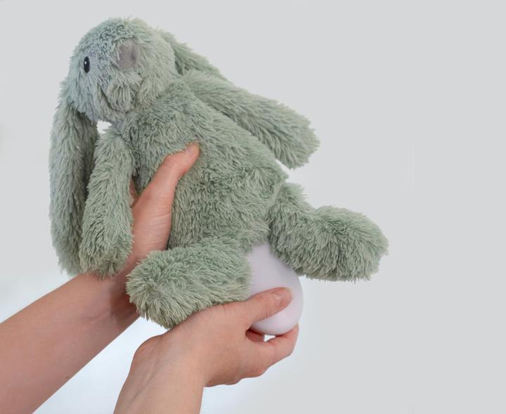 Image du produit ZaZu RO the Rabbit Green