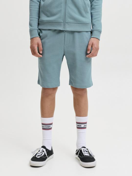 Image du produit Jack & Jones Junior Hose GORDON Shorts (152)
