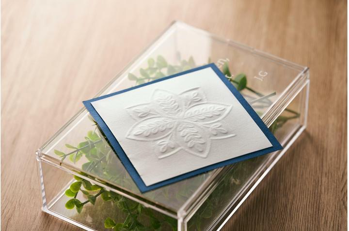 Actual product image Silhouette Curio 2