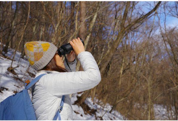 Immagine prodotto Pentax Binocolo Jupiter 10x50 (10 x, 50 mm)