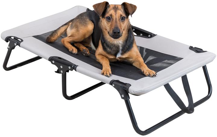 Actual product image Trixie Dog lounger Strong Edition, 99 x 19 x 60 cm (Dog)