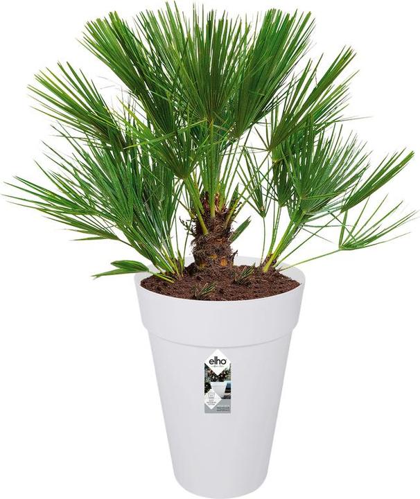 Produktbild Elho Loft Urban (33.50 cm)