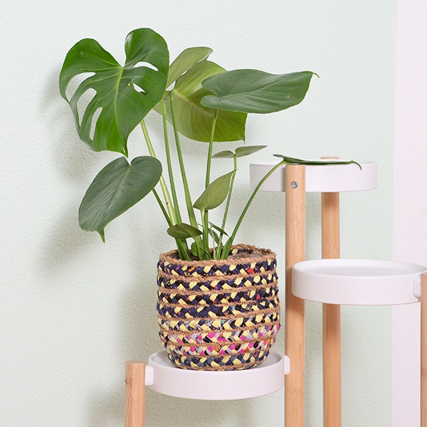 Produktbild VEG and the City Liberia (75 cm)