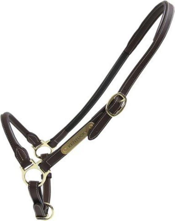 Kentucky Horsewear Leather halter for grooming horses