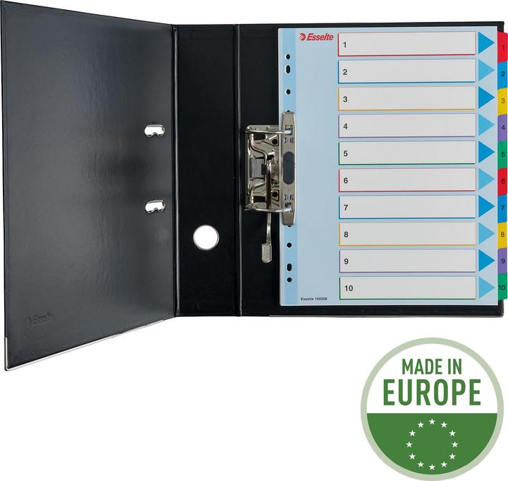 Image du produit Esselte - diviseur - 10 pièces - pour A4 Maxi - onglet (pack de 10)