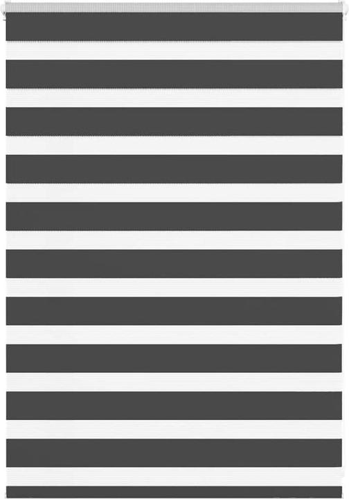 Produktbild vidaXL Zebra-Jalousie (115 x 100 cm)