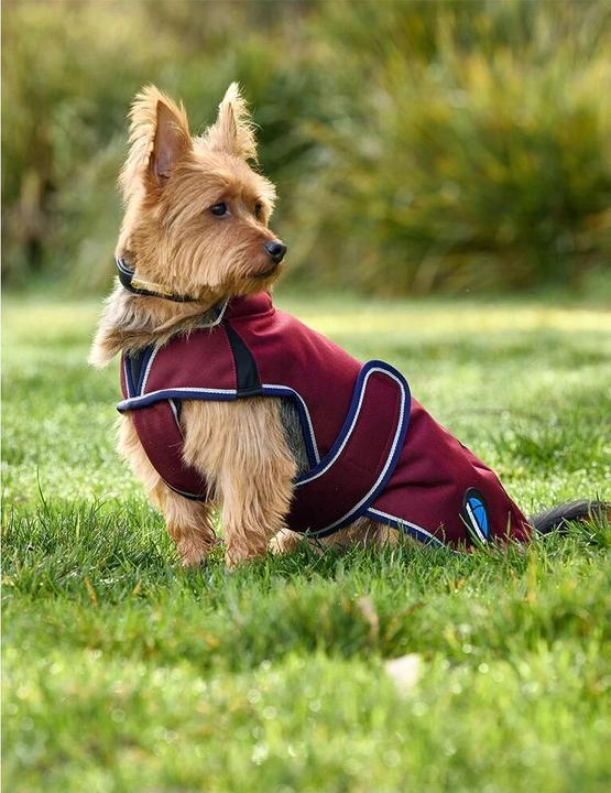 Actual product image Weatherbeeta Comfitec Premier Deluxe (30, Dog raincoat)