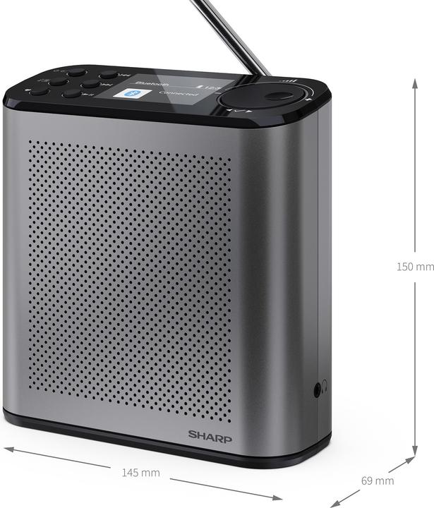 Sharp DR-P530 Osaka (DAB+, FM, Bluetooth)