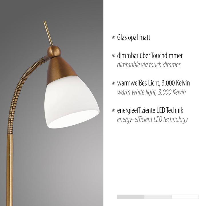 Actual product image Paul Neuhaus antique brass LED table lamp 3000K 3W (265 lm, G9)