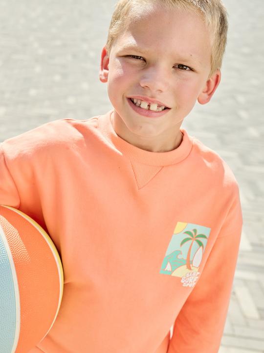 Image du produit Vertbaudet Jungen Sweatshirt mit Sommer-Motiv (110)