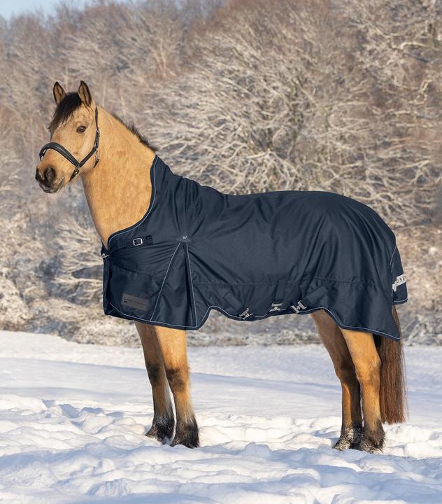 Image du produit Waldhausen Scandic 100g (145 cm)