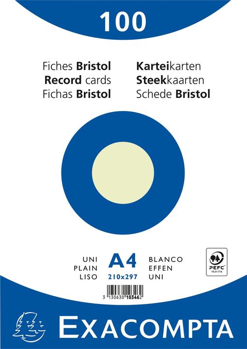 Exacompta Karteikarten (210 x 297 mm, 205 g/m², 100 x)